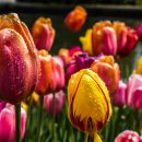 (주)이천써비스 이미지