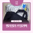 수영가방 추천, 롱핀 수납 펠리젤리 프릴리백 후기