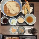 을-160 | 우연히 들어간 긴자160년 전통 사토요스케 우동맛집 솔직후기