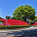 옥천읍테니스장 이미지