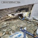 월드크리닝꽃바위점 | 믿고 맡길 수 있는 울산의 최강 누수탐지 업체, 울산누수탐지 더누수페이스