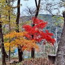 죽림원 이미지