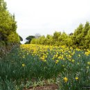 거제공업고등학교 이미지