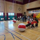 도초초등학교 이미지