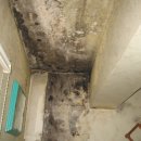 감천2동-8 이미지