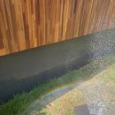 슈발제화 이미지