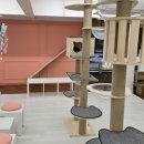 츄냥이 하우스 이미지