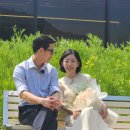 정희세상