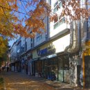 고래식당 문래점 이미지