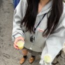 이탈리아 남부투어 (솔직후기 ㅎㅎ)