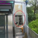 강남-288 이미지