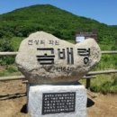 곰배령마루 이미지