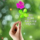 5월6일 월요일 창원방 출석부 이미지