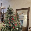 대방노브랜드더시그너처 | 신대방역 두쫀쿠 후기 감각적인 무드의 보라매카페 커피집도씨