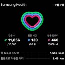 데일리루틴