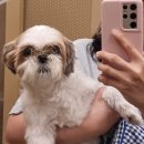 미추홀구청 구내식당 이미지