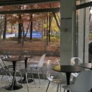 까페꽃향 이미지