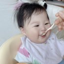 우리중기 - 2331 | 9개월 아기이유식 중기에서 후기이유식으로 +차이점