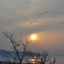 분오리 저수지 이미지