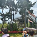 이레 태권도장 이미지