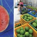 박인규농장 이미지