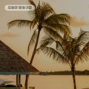 입다 이미지