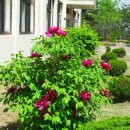 청북중학교 이미지