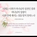 오늘의 &#39;영어성경 사진&#39;(640강) “우리는 하나님의 성전입니다”(고린도전서 3장 16절) 이미지