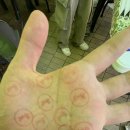 나경목장 이미지