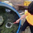 규린도목장 2 이미지