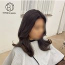 그레이헤어하우스 이미지