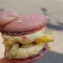 지쁠레르 이미지