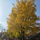 경기전 여행자 라운지 | 전주커플여행 늦가을 한복입고 경기전과 어진박물관 사진스팟