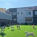 안녕 똑독아 이미지