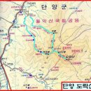 964 이미지