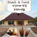 안성숲속빌리지2 | 안성 카페 숲 뷰가 예쁜 커피맛집 브런치앤숲