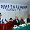 평화유리 이미지