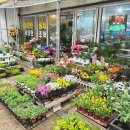 은하꽃집 이미지