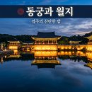 경주시 농업기술센터 본소 | 경주 가볼만한곳 6월 야경 코스 명소 총정리