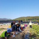 인천관광공사 이미지