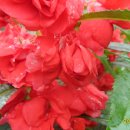 월항면 복지회관 이미지