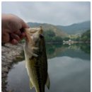 능애 낚시터 이미지