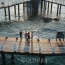 삼사해상공원내 이미지