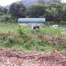 맑은샘물공인중개사사무소 이미지