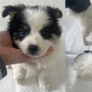 음암보건지소 이미지