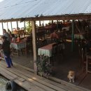 샤프레스토랑 이미지