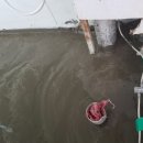 동산아파트 앞 이미지