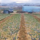 햇살농장2 이미지