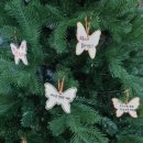 나비공원1(자연교육센터) 이미지