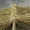 짚으로 알둥지 만드는 법 이미지